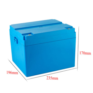 Batería de litio LiFePO4 12V para vehículo eléctrico